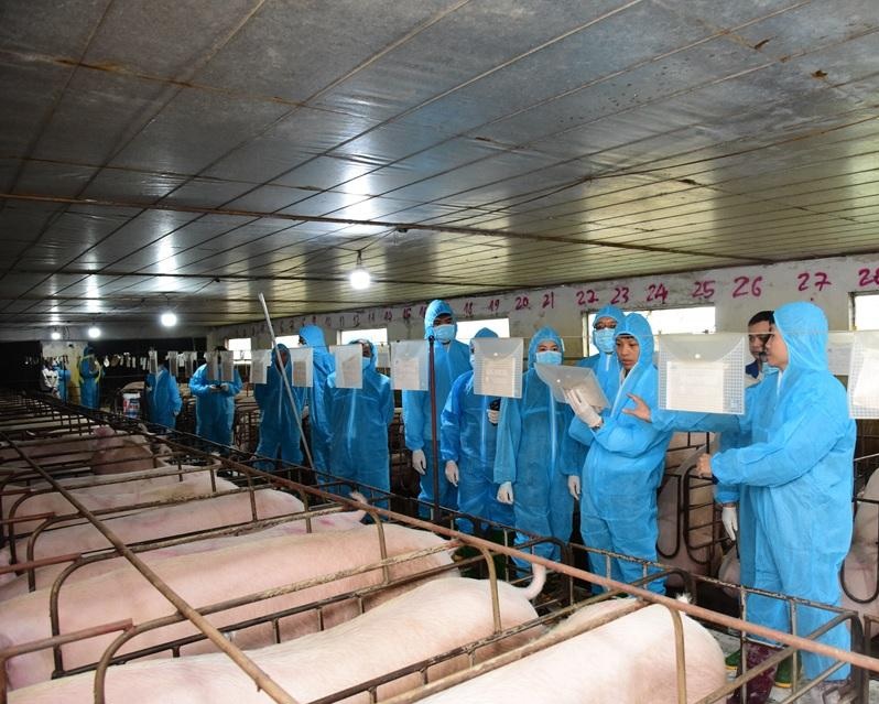 CÔNG TY TNHH BẢO HỘ LAO ĐỘNG A&A